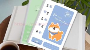 Top 7 nhà cung cấp vở học sinh cấp 3 giá rẻ, chất lượng hàng đầu