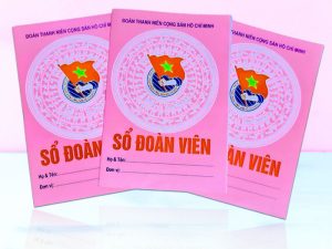 Xem Ngày Kết Nạp Đoàn Ở Đâu Trong Sổ Đoàn – Hướng Dẫn Chi Tiết