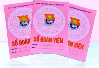 Xem Ngày Kết Nạp Đoàn Ở Đâu Trong Sổ Đoàn - Hướng Dẫn Chi Tiết
