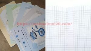 Giật mình với giá tập học sinh 100 trang giảm sâu đến 30% trong tháng 7 và 8: Phụ huynh có thể tham khảo!